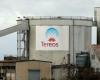 Sugar giant Tereos suffers from falling prices in Europe – 11/20/2024 at 1:15 p.m.