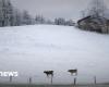 Is the big snow coming now? -News