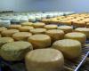 Corsican sheep cheese recalled for suspicion of listeria