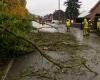 Flooded roads and streets, blocked drains: bad weather causes around a hundred interventions in Wallonia and Brussels