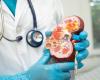 We now know how certain antihypertensive drugs harm the kidneys