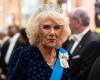 Queen Camilla, resplendent at the gala of the diplomatic corps with Charles III and Prince William