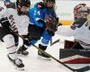 A professional women’s hockey game will be held in Edmonton in February