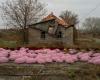 In eastern Ukraine, the noose tightens on the last civilians