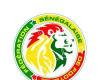 Senegal: the future coach of the Lions of football known before the end of 2024 | APAnews