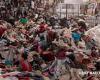 VIDEO. How our used clothes end up in our thrift stores after being sorted… in India