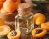 Apricot Oil Market Insights, Forecast to 2031