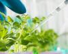 Vaccination of plants, soon the green light?