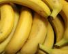 Sustainable banana at a fair price: distributors face their responsibilities