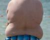 The Federal Court recognizes obesity as a disability under certain conditions – rts.ch