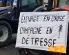 VIDEO – Anger of farmers. “We filled the parking lot for them”: the Aveyron Rural Coordination blocks a platform in the Tarn