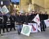 Demonstrations in Lozère against Mercosur | Agriculture Massif central