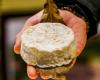 mothais on leaf wins the 16th AOC of goat cheese in France