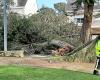 Flooding, uprooted trees, torn power lines… The storm causes a lot of damage in Carnac