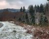 Storm Caetano: the Creuse wakes up under a thin film of snow this Friday morning