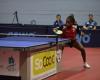 Table tennis (Pro B men). The Villeneuve-sur-Lot PPC regains color