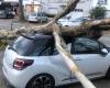 IN PICTURES. In Saint-Nazaire, storm Caetano breaks trees and wreaks havoc at the foot of the bridge