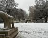 IN PICTURES – Our most beautiful photos of snow in Côte-d’Or and Saône-et-Loire