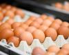 How many eggs can you eat per day? A nutritionist's answer