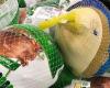 Feeding Those In Need: Annual Thanksgiving Turkey Giveaway Thursday