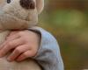 From Lot-et-Garonne, he sold dangerous stuffed animals for children on the internet