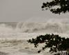 Even weakened Bheki causes swell and strong wind in Reunion