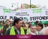 Strike by French-speaking teachers on November 26: “It is not classes, but entire schools that will have to close”