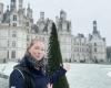 France in white: the most beautiful images of the snow that fell in many regions