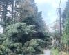 Storm Caetano. In Loire-Atlantique, 40,000 homes deprived of electricity