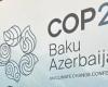 COP29: what future for environmental guardians in Africa? | APAnews