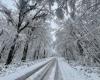 a very rare day of snow in November