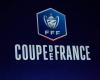 Coupe de France: When will LOSC know their opponent in the 32nd finals?