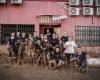 Deadly floods in Spain: images of French relief workers, in the mud but with a smile, mobilized around Valencia