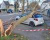 Storm Caetano causes damage to Saint-Nazaire and Loire-Atlantique