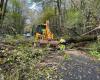 Trees on the road in Charente limousine, 4160 homes deprived of electricity, the Caetano storm does not spare Charente