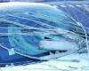 IN PICTURES. Caetano storm: part of a poplar tree falls on a car parked north of Montpellier