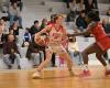 Amateur basketball – Women’s Occitanie Cup: a tempting double confrontation between Auch and Gimont in the capital of Gers