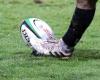 Rugby: acts of sexual assault “committed while drunk on two waitresses”, a player sentenced