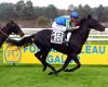 Fontainebleau: Seine-et-Marne Prize, GANASS dominates its elders in the Quinté of the day