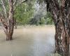 Queensland state hit by torrential rain