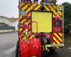 Falling trees and damaged cables in Lot-et-Garonne following storm Caetano