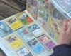 “For collectors, it’s truly a golden nugget”: while renovating her house she discovered hundreds of rare Pokemon cards