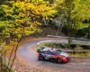 Classification SS16 Rally Japan 2024