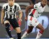 Botafogo draws with Vitória and Palmeiras is the new leader