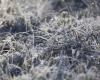 Weather: – 6°C, – 5.5°C, – 5°C… widespread frost in Aveyron this Saturday morning, here are the municipalities most affected by the cold