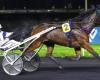 PMU – Arrival of the quinté on Friday November 22 at Paris-Vincennes: Instant d'Haufor saves the honor of the favorites