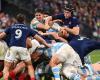 Rugby: France beats Argentina and ends its autumn tour undefeated