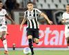 Botafogo seeks a draw, but loses lead in the Brazilian Championship to Palmeiras