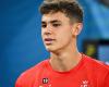 PSG, Stade de Reims: Luka Elsner sets things straight with Moscardo