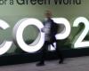 rich countries will now be able to meet their climate objectives by purchasing carbon credits